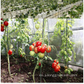 Hidroponics múltiples hydroponics invernaderos agrícolas